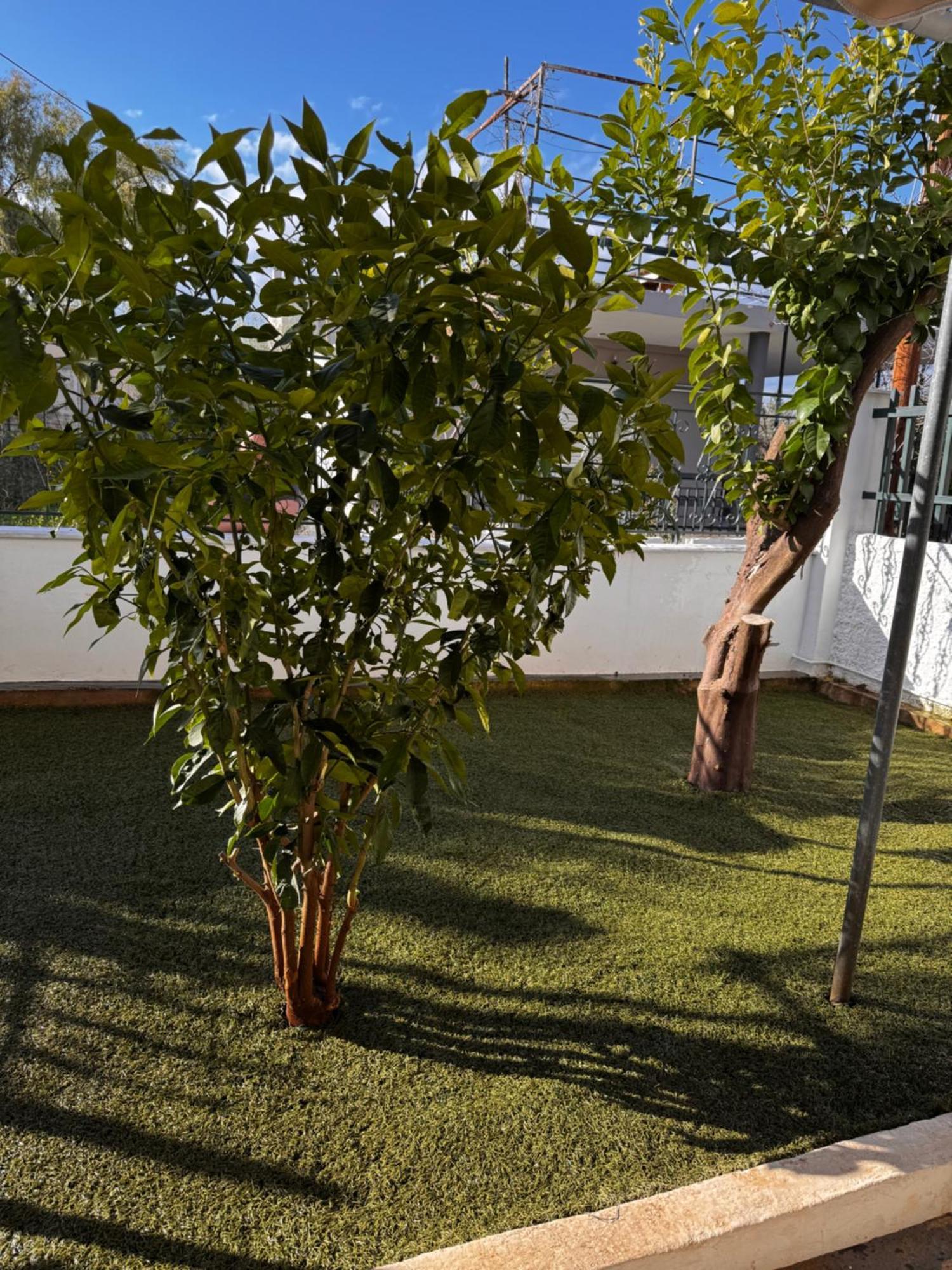 Villa Salamis Luxury Escape Exterior foto